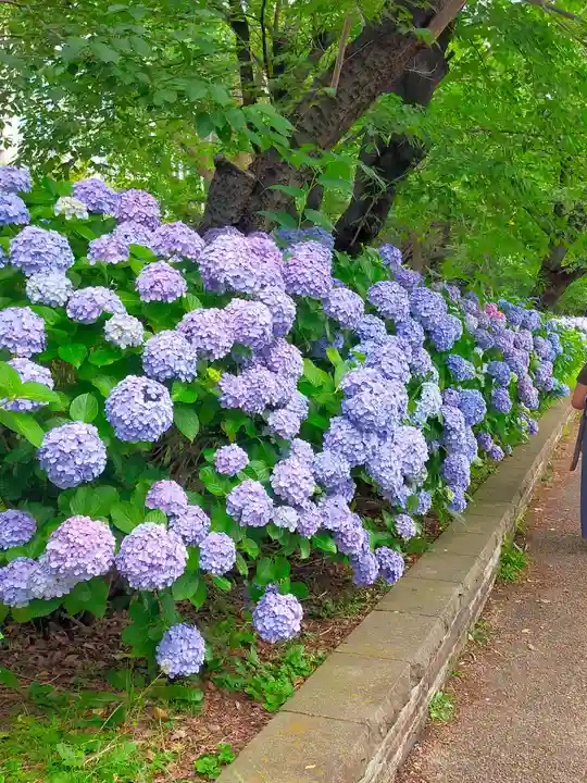 上野東照宮(東京都)