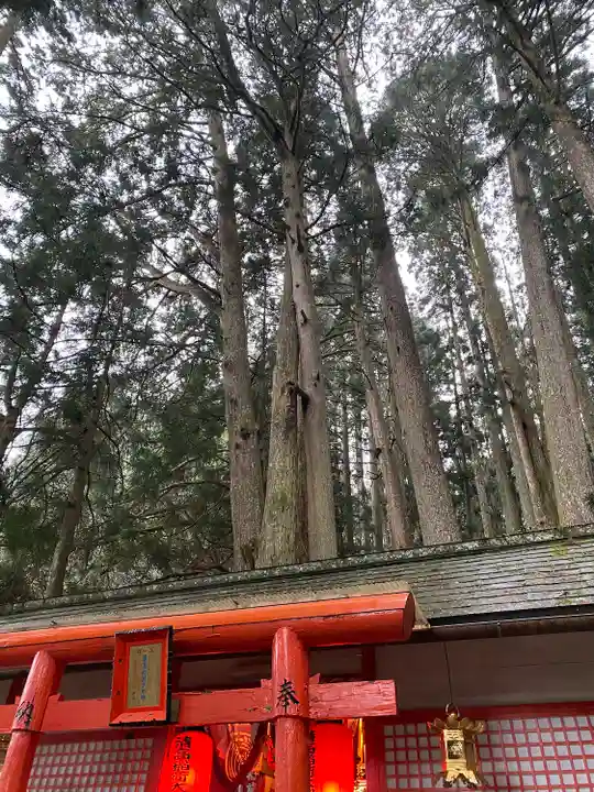 清高稲荷社(和歌山県)