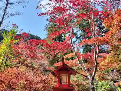 鍬山神社(京都府)