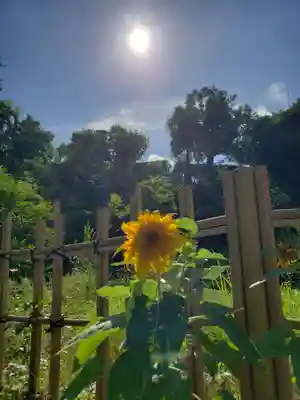 白金氷川神社(東京都)