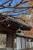 龍安寺(京都府)