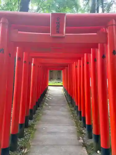 多賀大社の鳥居