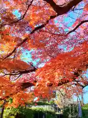 福蔵院(東京都)