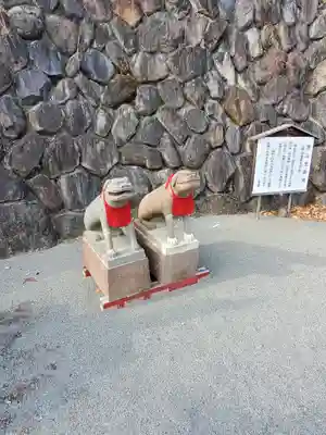 長谷寺(白岩観音)の狛犬