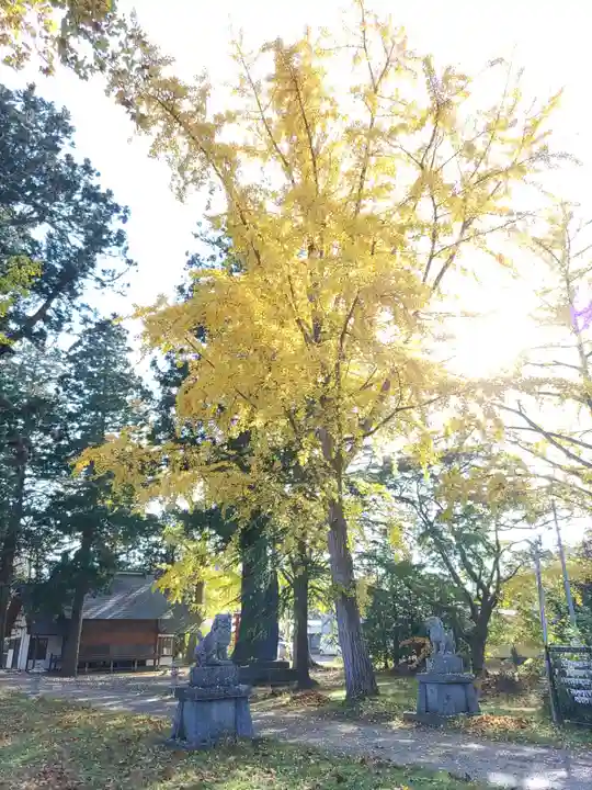 金ケ崎神社(岩手県)