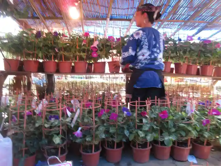 真源寺(入谷鬼子母神)のお祭り