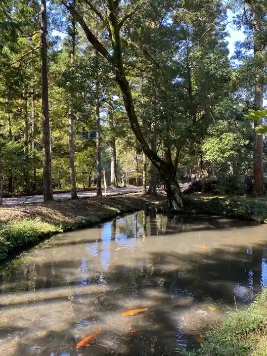 丹生大師 神宮寺の庭園