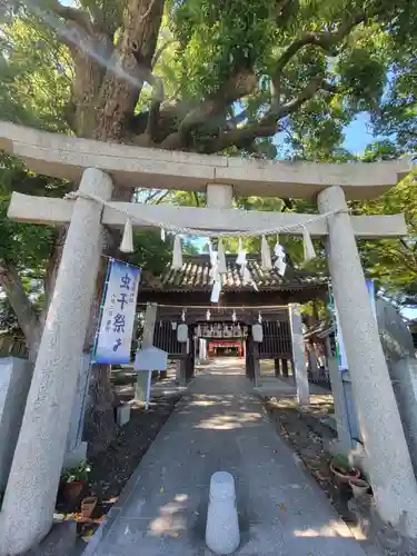 高忍日賣神社の鳥居