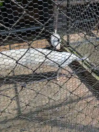 楽法寺（雨引観音）(茨城県)