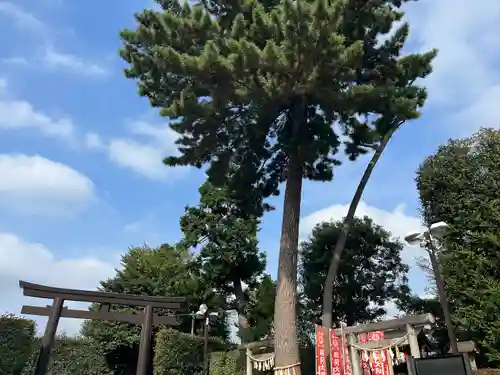 中野沼袋氷川神社(東京都)