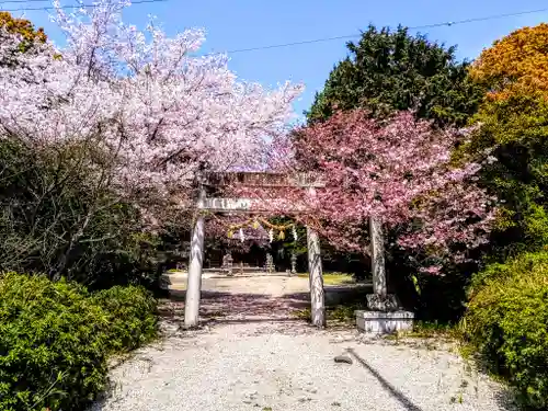 神明社（上切神明社）の鳥居