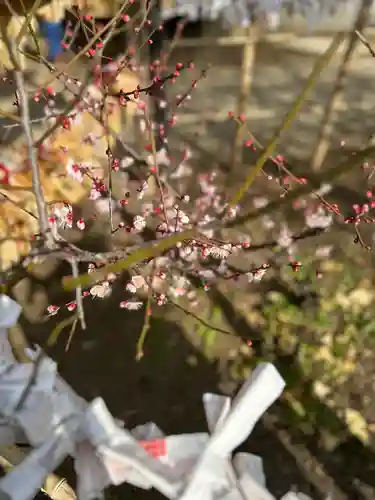 五條天神社(東京都)