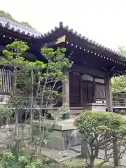 観蔵院 曼荼羅寺の本殿