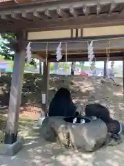 樽前山神社の手水