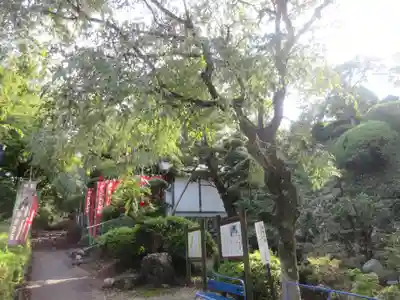 音楽寺(埼玉県)