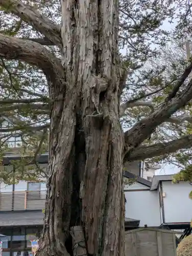 湯倉神社の{uncategorized: "未分類", other: "その他", undefined: "問題あり", building: "その他建物", grave: "お墓", sacred_gate: "鳥居", guardian: "狛犬", statue: "像", buddha: "仏像", history: "歴史", nature: "自然", garden: "庭園", animal: "動物", pagoda: "塔", temizu: "手水舎", mountain_gate: "山門・神門", sanctuary: "本殿・本堂", subordinate: "末社・摂社", art: "芸術", scenery: "景色", jizo: "地蔵", ema: "絵馬", goshuin: "御朱印", omikuji: "おみくじ", items: "授与品その他", amulet: "お守り", goshuincho: "御朱印帳", eats: "食事", festival: "お祭り", votive_dance: "神楽", shichigosan: "七五三参", wedding: "結婚式", experience: "体験その他", initially: "初詣", around: "周辺", anti_infection: "感染症対策"}