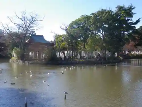 鶴岡八幡宮の庭園