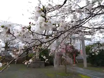  湊八幡神社(福井県)
