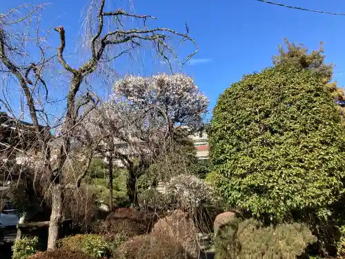 船橋不動尊　寳性寺(東京都)