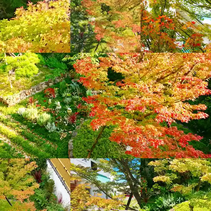 寿量山 速成寺の自然