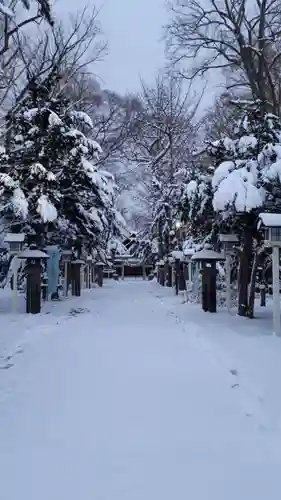 新琴似神社の景色