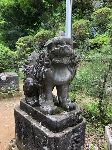 高尾山薬王院の狛犬