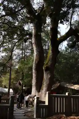 伊弉諾神宮(兵庫県)