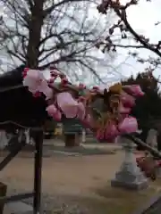 賀羅加波神社(広島県)