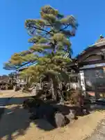 寳藏院(神奈川県)
