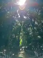 泉神社(茨城県)