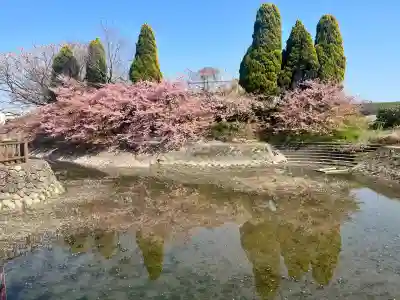 東運寺の{uncategorized: "未分類", other: "その他", undefined: "問題あり", building: "その他建物", grave: "お墓", sacred_gate: "鳥居", guardian: "狛犬", statue: "像", buddha: "仏像", history: "歴史", nature: "自然", garden: "庭園", animal: "動物", pagoda: "塔", temizu: "手水舎", mountain_gate: "山門・神門", sanctuary: "本殿・本堂", subordinate: "末社・摂社", art: "芸術", scenery: "景色", jizo: "地蔵", ema: "絵馬", goshuin: "御朱印", omikuji: "おみくじ", items: "授与品その他", amulet: "お守り", goshuincho: "御朱印帳", eats: "食事", festival: "お祭り", votive_dance: "神楽", shichigosan: "七五三参", wedding: "結婚式", experience: "体験その他", initially: "初詣", around: "周辺", anti_infection: "感染症対策"}