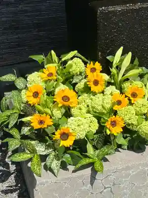 上尾御嶽神社の手水舎
