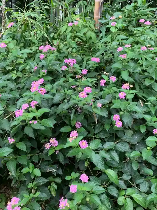 諏訪神社(神奈川県)