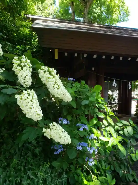 阿佐ヶ谷神明宮(東京都)
