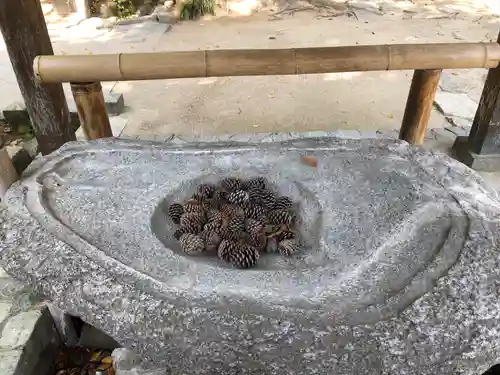 櫻井神社の手水舎