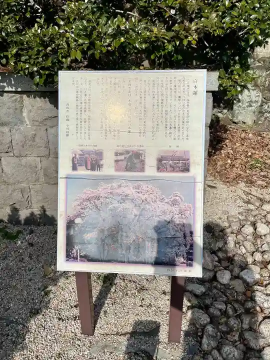 高長寺(神奈川県)