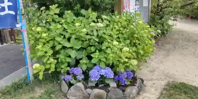 千里山神社(大阪府)