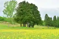 沢山神社(澤山神社)(新潟県)