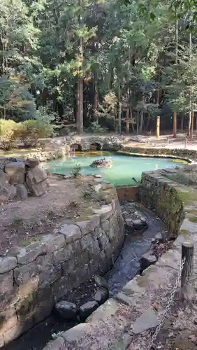 大麻比古神社(徳島県)