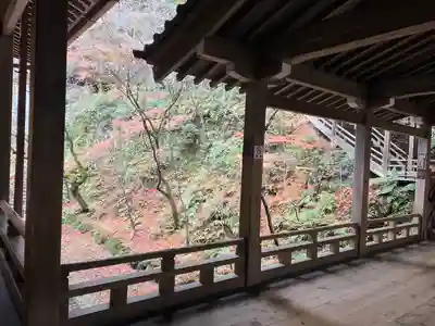 禅林寺(永観堂)(京都府)