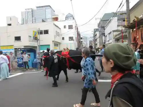 牛嶋神社のお祭り