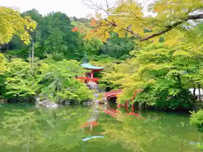 醍醐寺(京都府)