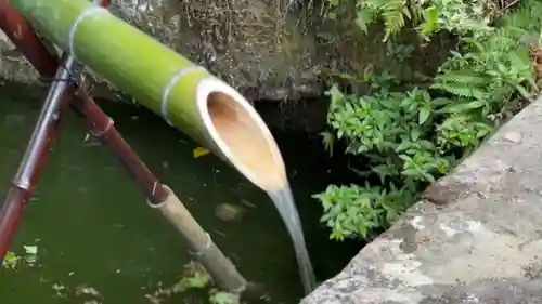 法雲寺(埼玉県)
