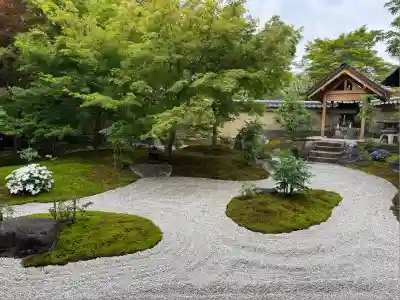 黄梅院(京都府)