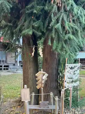 長沼八幡宮(栃木県)
