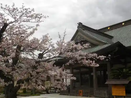 光明寺の本殿・本堂