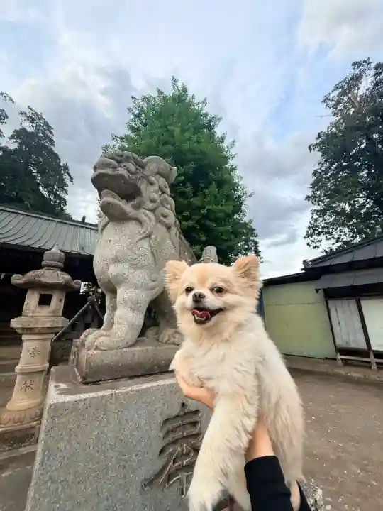白鬚神社の{uncategorized: "未分類", other: "その他", undefined: "問題あり", building: "その他建物", grave: "お墓", sacred_gate: "鳥居", guardian: "狛犬", statue: "像", buddha: "仏像", history: "歴史", nature: "自然", garden: "庭園", animal: "動物", pagoda: "塔", temizu: "手水舎", mountain_gate: "山門・神門", sanctuary: "本殿・本堂", subordinate: "末社・摂社", art: "芸術", scenery: "景色", jizo: "地蔵", ema: "絵馬", goshuin: "御朱印", omikuji: "おみくじ", items: "授与品その他", amulet: "お守り", goshuincho: "御朱印帳", eats: "食事", festival: "お祭り", votive_dance: "神楽", shichigosan: "七五三参", wedding: "結婚式", experience: "体験その他", initially: "初詣", around: "周辺", anti_infection: "感染症対策"}