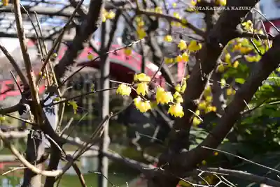 亀戸天神社(東京都)