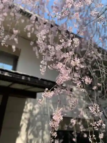 宝勝山　南藏院   蓮光寺(東京都)