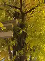 飛木稲荷神社(東京都)